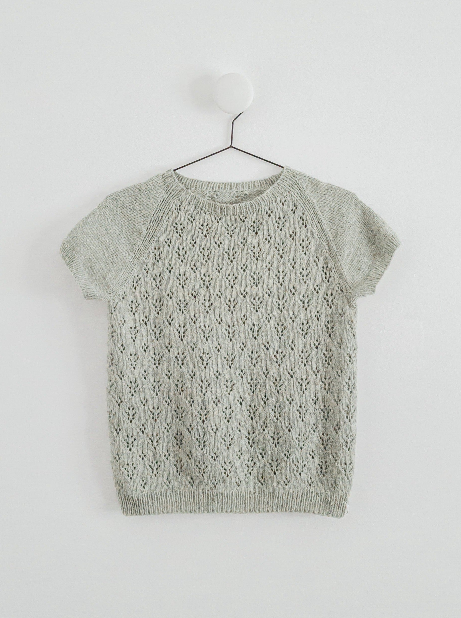 Pale sage knit sweater with delicate eyelet pattern and short raglan sleeves displayed on hanger.