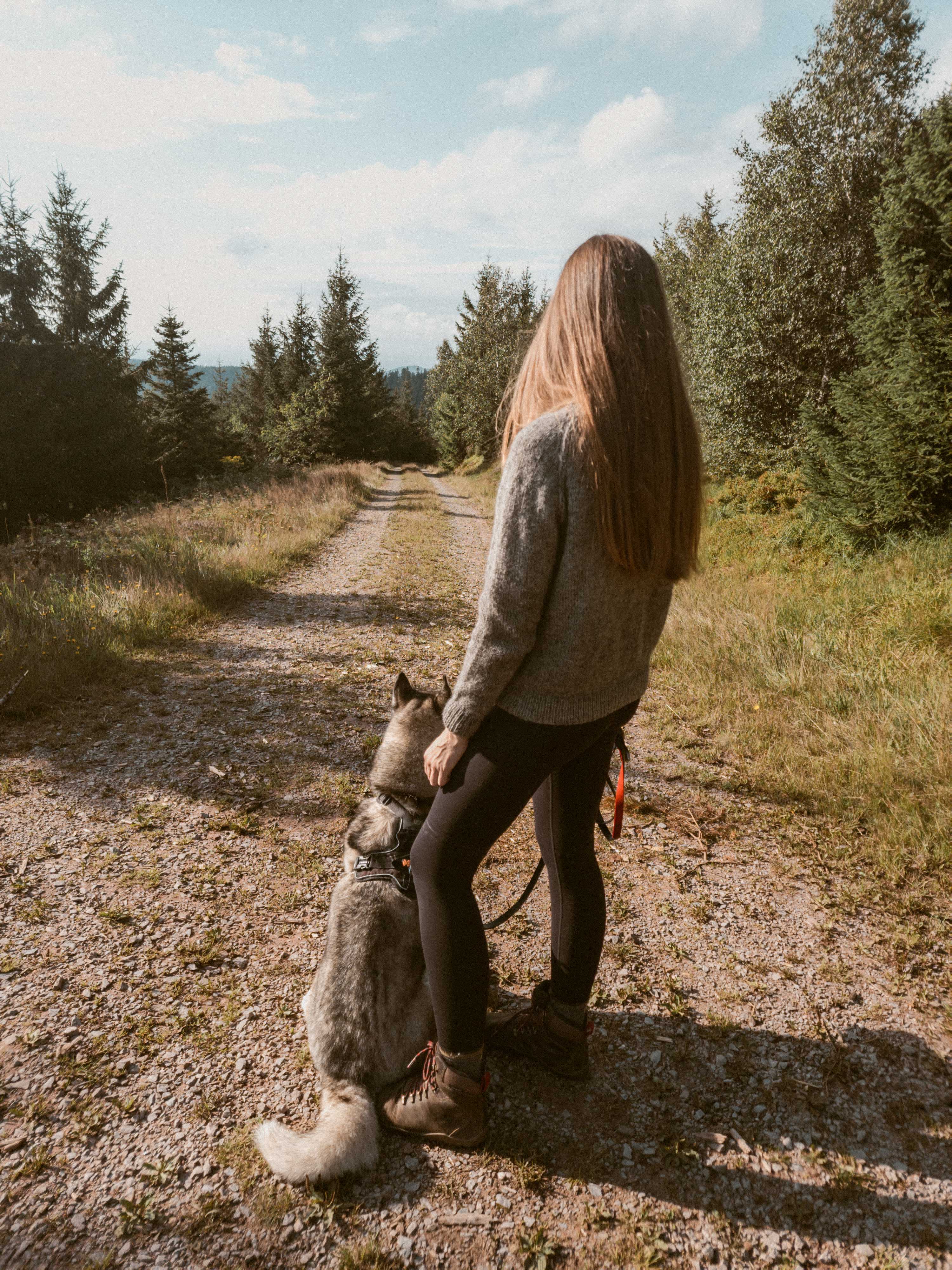 Designer Ulven in a grey Wullpullover sweater handknit in Pommernglück from Calling Sheep, standing on a long gravel road next to her husky-malamute dog, surrounded by trees.