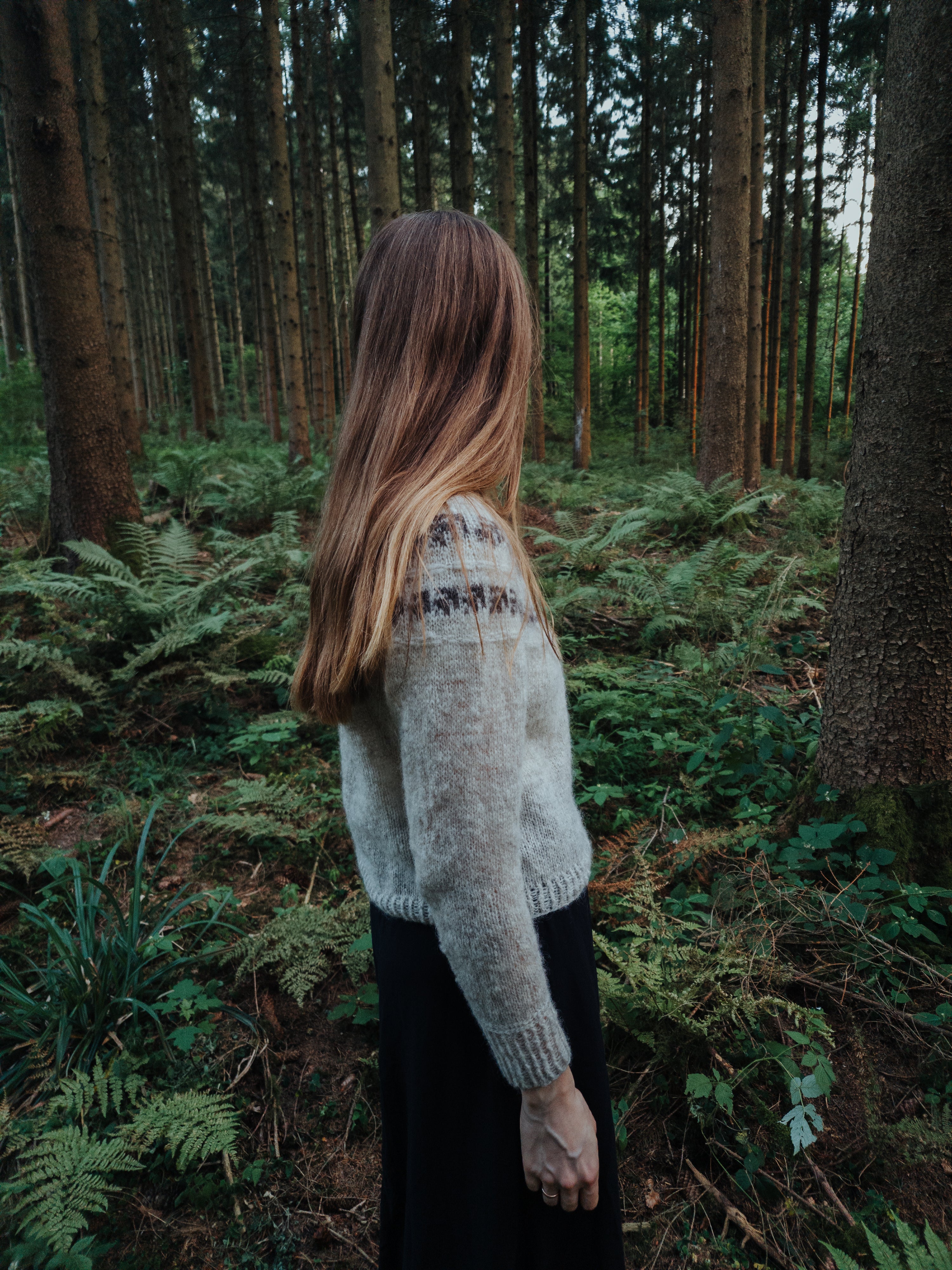 Fernlys Sweater - Knitting Pattern